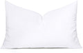 MIULEE Throw Pillow Insert Premium Pillow Stuffer Sham Rectangle for Decorative Cushion Bed Couch Sofa 13x21 Inch