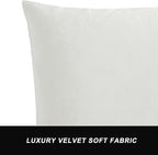 GIGIZAZA Decorative Couch Throw Pillow Covers,Set of 2 Rice Ivory White Square Pillow Cushion Covers 22x22,Pillow Cases Velvet Pillow Covers