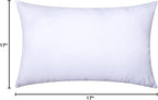 MIULEE Throw Pillow Insert Premium Pillow Stuffer Sham Rectangle for Decorative Cushion Bed Couch Sofa 16x24 Inch