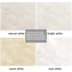 CIICOOL Faux Fur Rug White Fluffy Area Rugs for Bedroom, Thick Fuzzy Shag Rug Furry Bedside Nursery Rug for Living Room Plush Indoor Floor Carpet for Kids Room Teen Dorm, 3x5 ft