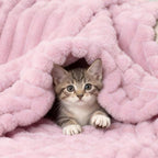 Aganear Fluffy Throw Blanket for Couch,3D Ribbed Jacquard Warm Fuzzy Blanket for Couch, Home Decor for Lightweight Cozy Soft Throw for All Seasons(Pink,50"×60")