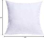 MIULEE Throw Pillow Insert Premium Pillow Stuffer Sham Rectangle for Decorative Cushion Bed Couch Sofa 17x17 Inch