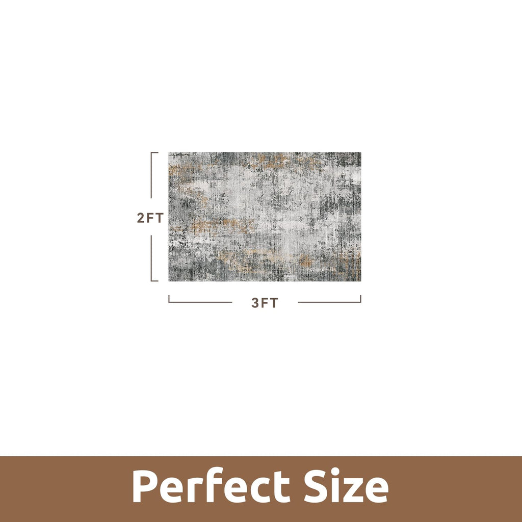 2 x 3 Small Area Rug Indoor Entryway Rug Machine Washable Non Slip Low Pile Carpet Modern Abstract Rugs for Bedroom Kitchen Powder Room Front Porch Bathroom, Grey