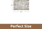 2 x 3 Small Area Rug Indoor Entryway Rug Machine Washable Non Slip Low Pile Carpet Modern Abstract Rugs for Bedroom Kitchen Powder Room Front Porch Bathroom, Beige
