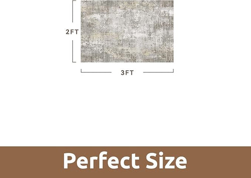 2 x 3 Small Area Rug Indoor Entryway Rug Machine Washable Non Slip Low Pile Carpet Modern Abstract Rugs for Bedroom Kitchen Powder Room Front Porch Bathroom, Beige