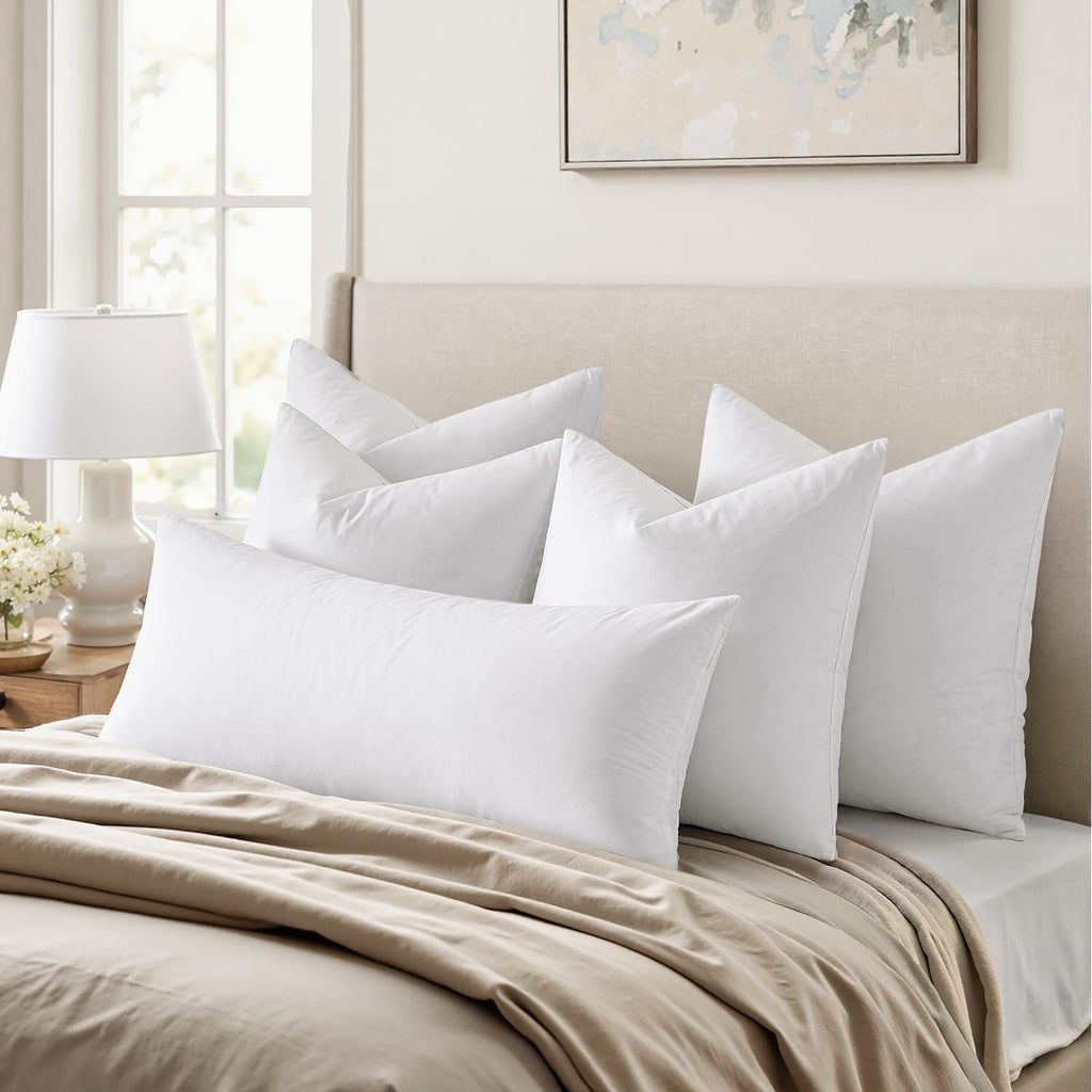 MIULEE 20x20 Pillow Inserts, Set of 4 Feather Down Throw Pillows