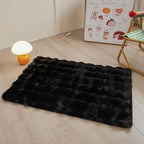 Black Rabbit Plush Rug 2'x3', Fluffy Faux Fur Shaggy Area Rug for Nursery, Kids Room Decor, Soft Fuzzy Carpet for Living Room, Bedroom, Teen Girls Room