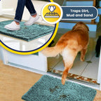 Muddy Mat® | Super Water Absorbent Door Mat Indoor, Microfiber Quick Dry Chenille Entryway Rug,Slip Resistant Front Door Mat,Indoor Mats for Entryway,Machine Washable Pet Rug, Seafoam Green 48"x72"