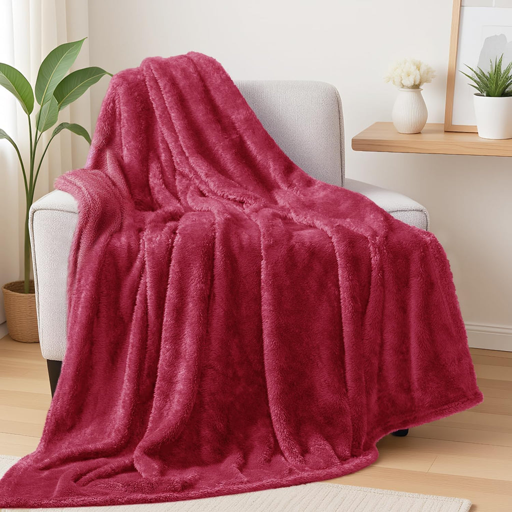 Exclusivo Mezcla Fuzzy Plush Fleece Bed Blanket Twin XL Size, Light Grey