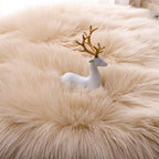 Arbosofe Ultra Soft Faux Fur Rug, Area Rugs, Beige Fluffy Shaggy Fur Rug for Bedroom & Living Room, Kids Room Decor, 2 x 6 Feet Sheepskin