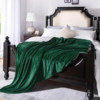 JIAHANNHA Green Throw Blanket Fleece Blanket Throw Size(50 by 70 Inches),Super Soft Cozy Plush Blanket for Couch Sofa Bed,Lightweight Warm Bed Blankets for Adults,All Season