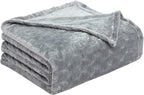 TOONOW Fleece Blanket Twin Size -320GSM Lightweight Fuzzy Soft Textured Flannel Blankets for Couch, Sofa, Bed, 60x80 inchs,Light Grey