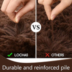 LOCHAS Ultra Soft Indoor Modern Area Rugs Fluffy Living Room Carpets for Children Bedroom Home Decor Nursery Rug 5x8 Feet, Brown