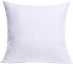 MIULEE Throw Pillow Insert Premium Pillow Stuffer Sham Square Form for Decorative Cushion Bed Couch Sofa 21x21 Inch