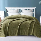 Exclusivo Mezcla Fleece Queen Size Blanket for Bed, 90x90 Inches Soft Cozy Jacquard Flannel Blankets, Lightweight Fuzzy Plush Warm for Women, Olive Green