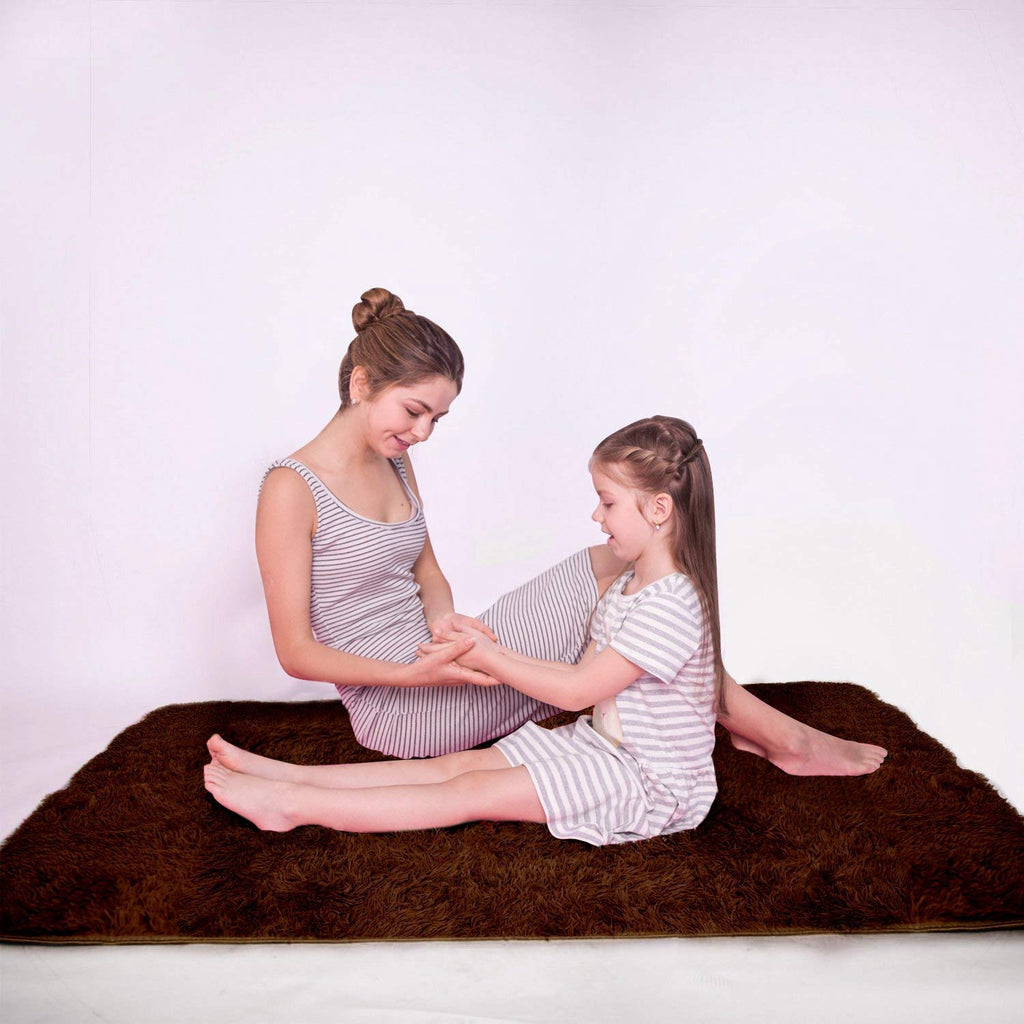 LOCHAS 2x3 Area Rugs Fluffy Living Room Carpets for Kids Bedroom, Brown