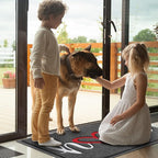BeneathYourFeet Door Mat, Welcome Mat Low Profile Floor Mat Front Doormat Indoor and Outdoor Doormat Non Slip Rugs for Entryway, Patio, High Traffic Areas (30"x17.5", Grey-Home)