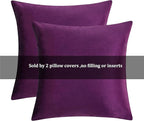 GIGIZAZA Decor Throw Couch Pillow Covers,Set of 2 Sofa Cushion Purple Pillow Covers,Velvet Pillow Cases 24 x 24inch