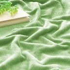 BEDELITE Fleece Blanket Soft Plush Queen Bed Blanket Grass Green 90"x90"