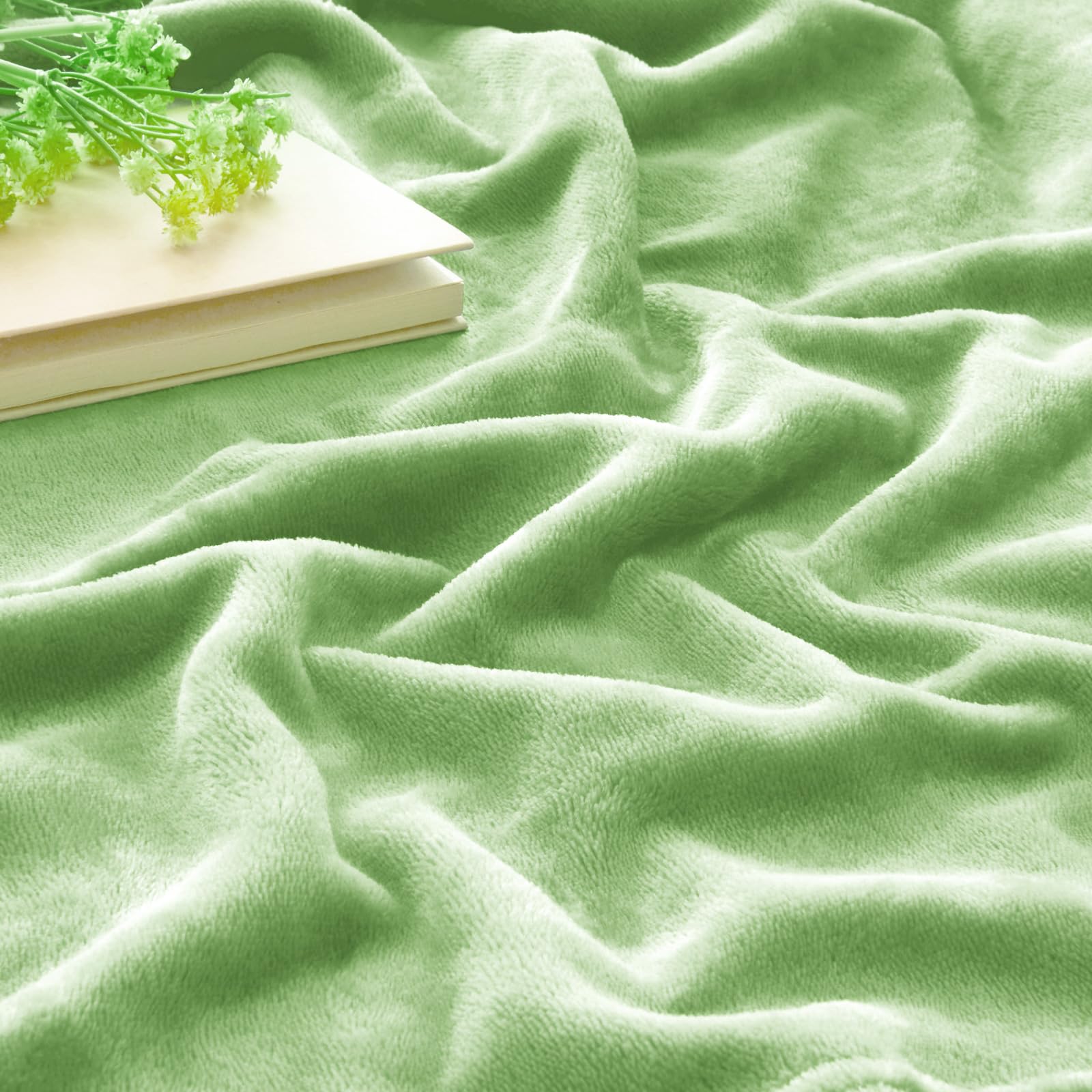 BEDELITE Fleece Blanket Soft Plush Queen Bed Blanket Grass Green 90"x90"