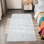 3x5 Area Rug for Bedroom, White Fluffy Shag Rug Small Rug Plush Carpet