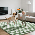 Area Rugs for Bedroom Living Room,4x6 Green and White Fluffy Soft Checkered Rug Fuzzy Shag Shaggy Carpet,Indoor Plush Floor Rugs for Teen Dorm Home Decor