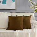 GIGIZAZA Decorative Throw Pillow Covers Set of 2,22 x 22 Chocolate Couch Pillow Covers,Velvet Square Cushion Covers