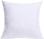 MIULEE Throw Pillow Insert Premium Pillow Stuffer Sham Square for Decorative Cushion Bed Couch Sofa 22x22 Inch