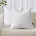 MIULEE 24x24 Inches Pillow Inserts Pack of 2, Decorative Throw Pillow Inserts for Couch