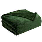 TOONOW Fleece Blanket Super Soft Cozy Throw Blanket 50" x 60", Lightweight Fuzzy Comfy Textured Flannel Blanket Warm Plush Throw Blankets for Couch, Sofa, Bed, Olive Green