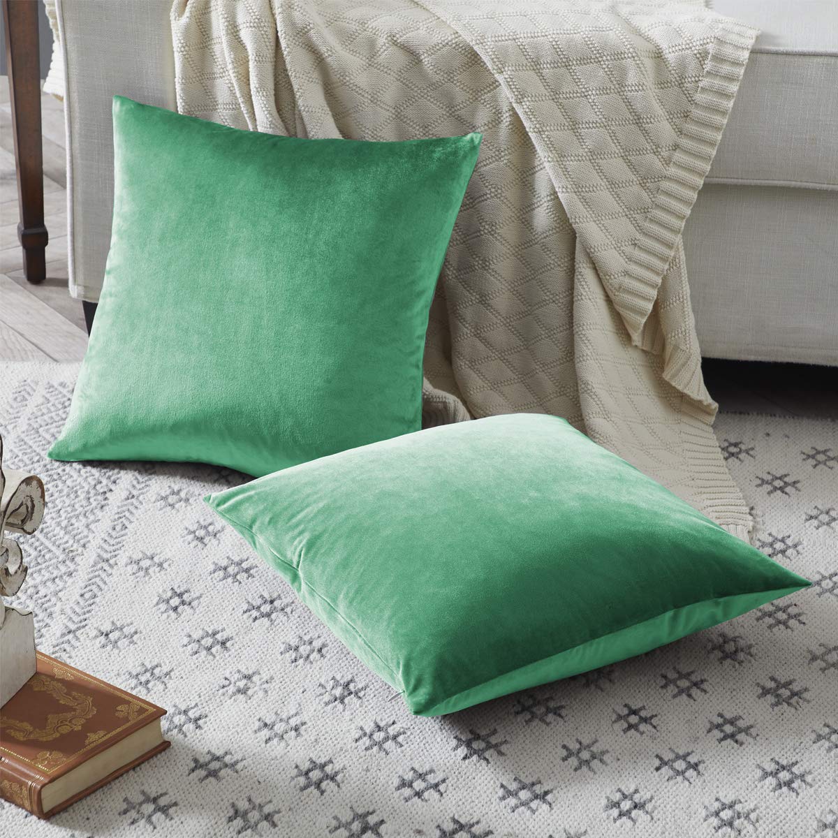GIGIZAZA Decor Throw Couch Pillow Covers,Set of 2 Sofa Cushion Mint Turquoise Pillow Covers,Velvet Pillow Cases 24 x 24inch