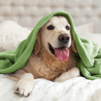 BEDELITE Fleece Blanket Soft Plush Queen Bed Blanket Grass Green 90"x90"