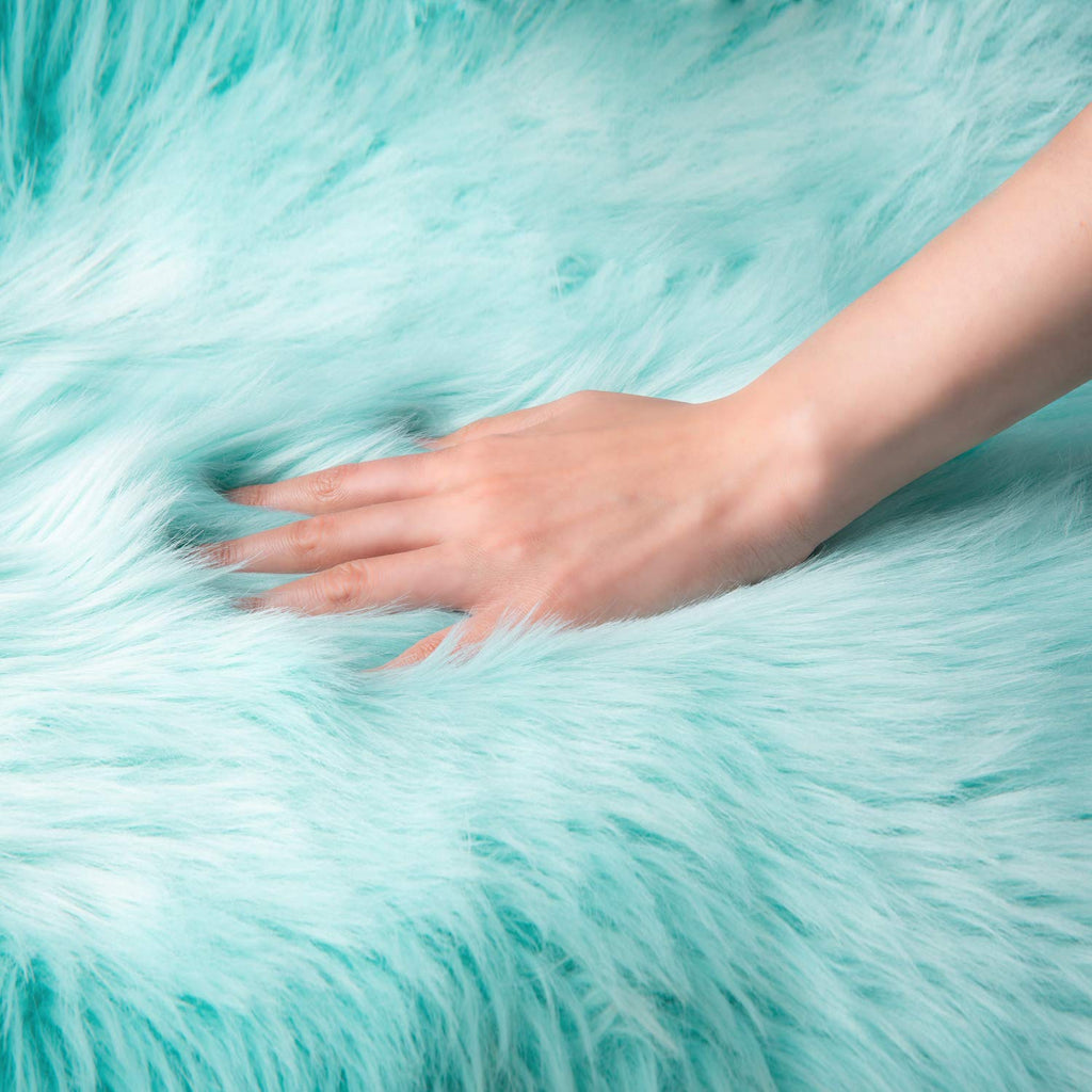 Ashler Faux Fur Area Rug, Fluffy Shaggy 3 x 5 Feet Rectangle Turquoise Fuzzy Machine Washable Shag Rug for Nursery, Kids & Living Room