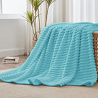 BEDELITE Fleece Throw Blanket for Couch - 300GSM Soft & Warm Fluffy Sky Blue Blanket, Decorative and Giftable Striped Blankets for Women, Men, 50"x60"
