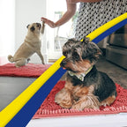 Muddy Mat® | Super Absorbent Door Mat Indoor, Microfiber Quick Dry Chenille Entryway Rug, Non-Slip Front Door Mat, Indoor Mats for Entryway, Machine Washable Pet Rug, Red 24" x 120"