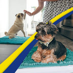 Muddy Mat® | Super Absorbent Door Mat Indoor, Microfiber Quick Dry Chenille Entryway Rug, Non-Slip Front Door Mat, Indoor Mats for Entryway, Machine Washable Pet Rug, Teal 24"x60"