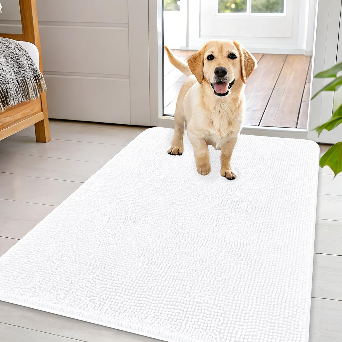 OLANLY Dog Door Mat for Muddy Paws 44x32, Super Absorbent Chenille Mud Mat