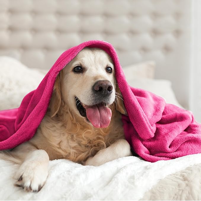 BEDELITE Fleece Blanket Twin Size Hot Pink Valentines Throw Blankets for Couch & Bed, 300GSM Luxury Plush Cozy Fuzzy Blanket 60x80 inches, Super Soft Warm Lightweight Throw Blanket for Travel Camping
