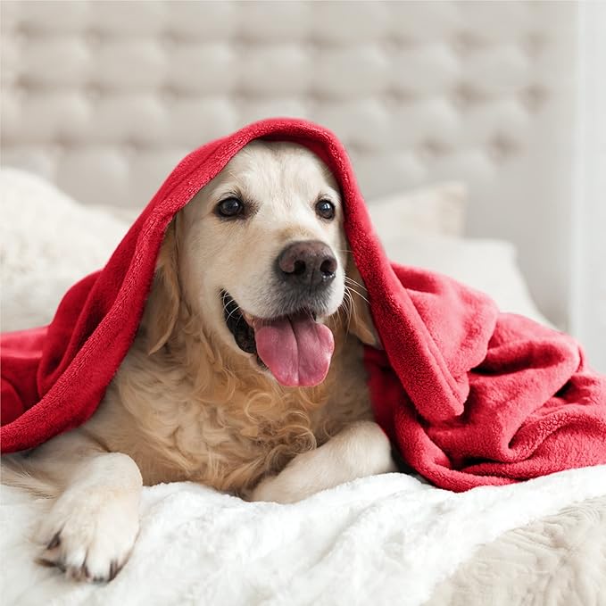 BEDELITE Fleece Blanket Red Throw Blanket for Couch & Bed, Luxury Plush Cozy Fuzzy Blanket 50" x 60", Super Soft Warm Lightweight Throw Blanket for Travel Camping