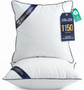Utopia Bedding 28x28 Throw Pillow Inserts, Decorative Pillows, Pack of 2