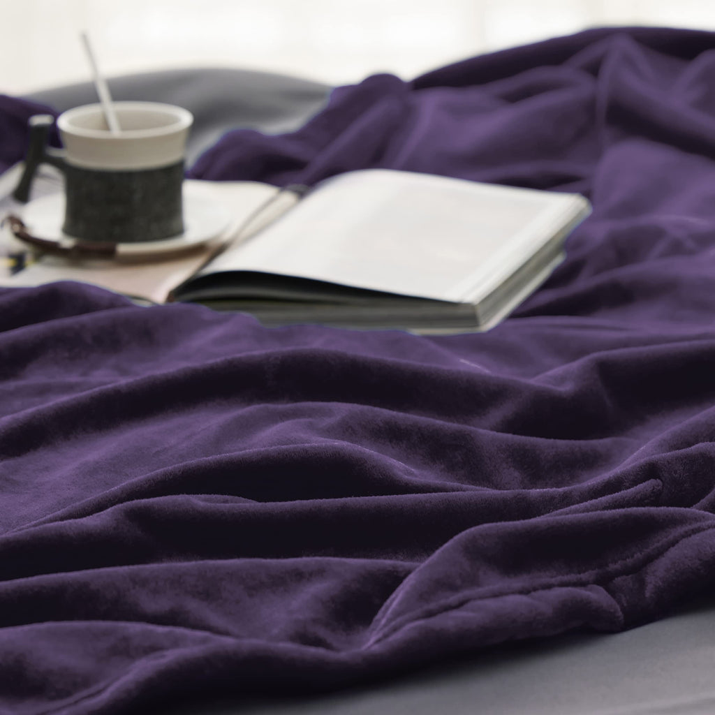 Bedsure GentleSoft Fleece Bed Blankets Large Size Purple - Soft Lightweight Fuzzy Cozy Luxury Oversized King Blanket Microfiber, Room Home Decor Gifts for Women and Men, 120x120 inches