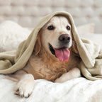 BEDELITE Fleece Blankets Queen Size Linen Throw Blankets for Bed, Luxury Plush Cozy Fuzzy Blanket 90x90 inches, Super Soft Warm Lightweight Throw Blanket All Seasons Suitable