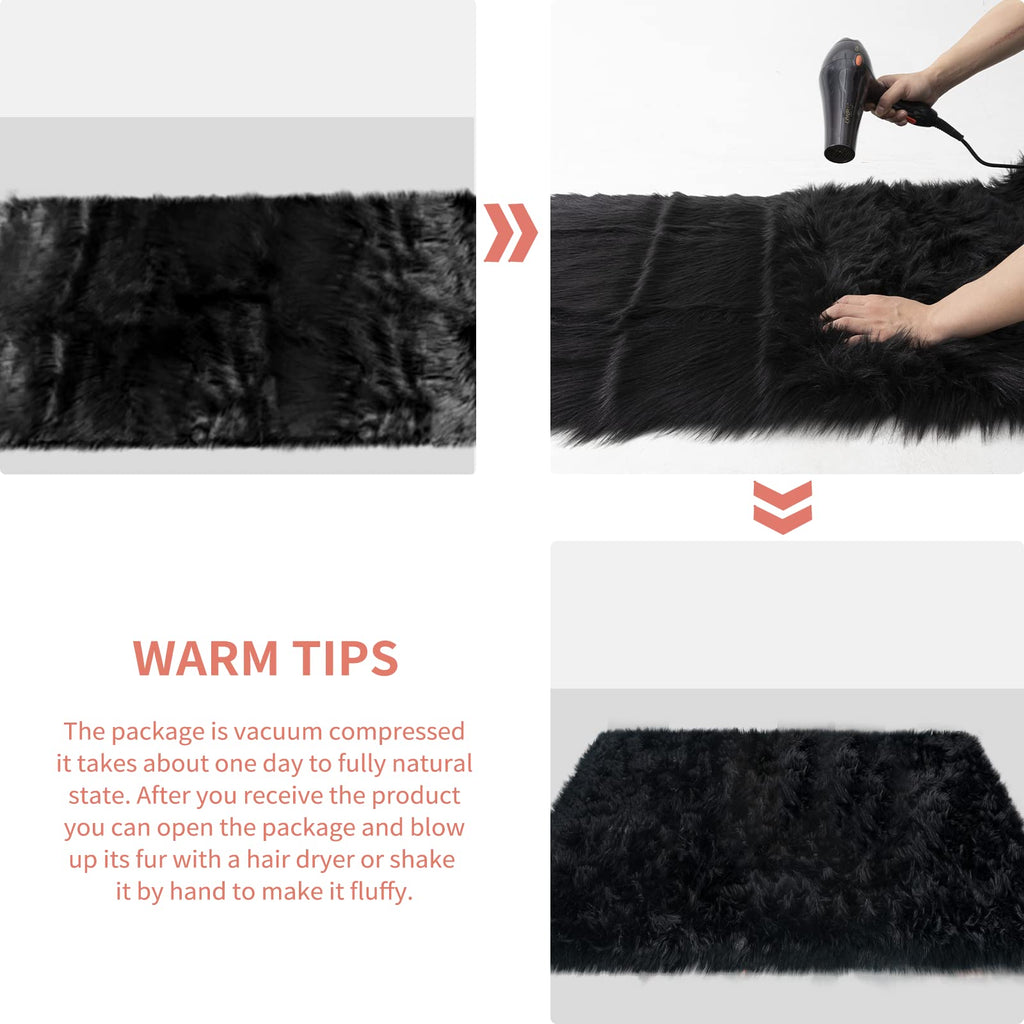 Ciicool Black Fur Fluffy Rug, 2x4 ft Small Faux Fur Rug for Bedroom
