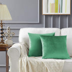 GIGIZAZA Mint Turquoise Velvet Decorative Throw Pillow Covers 20x20 for Sofa Bed 2 Pack Soft Cushion Cover