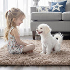 Area Rugs10x14 for Living Room,Beige Large Shaggy Carpet Plush Furry Rug