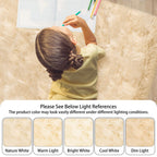 Ciicool Faux Sheepskin Rugs Soft Faux Fur Rug Beige Fluffy Rug 2x3 Feet