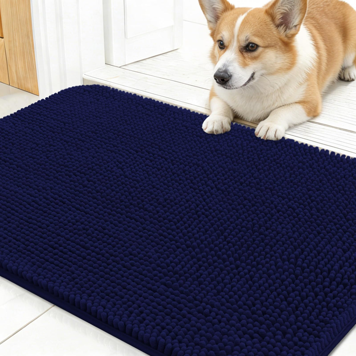 OLANLY Dog Door Mat for Muddy Paws 30x17, Super Absorbent Chenille Mud Mat