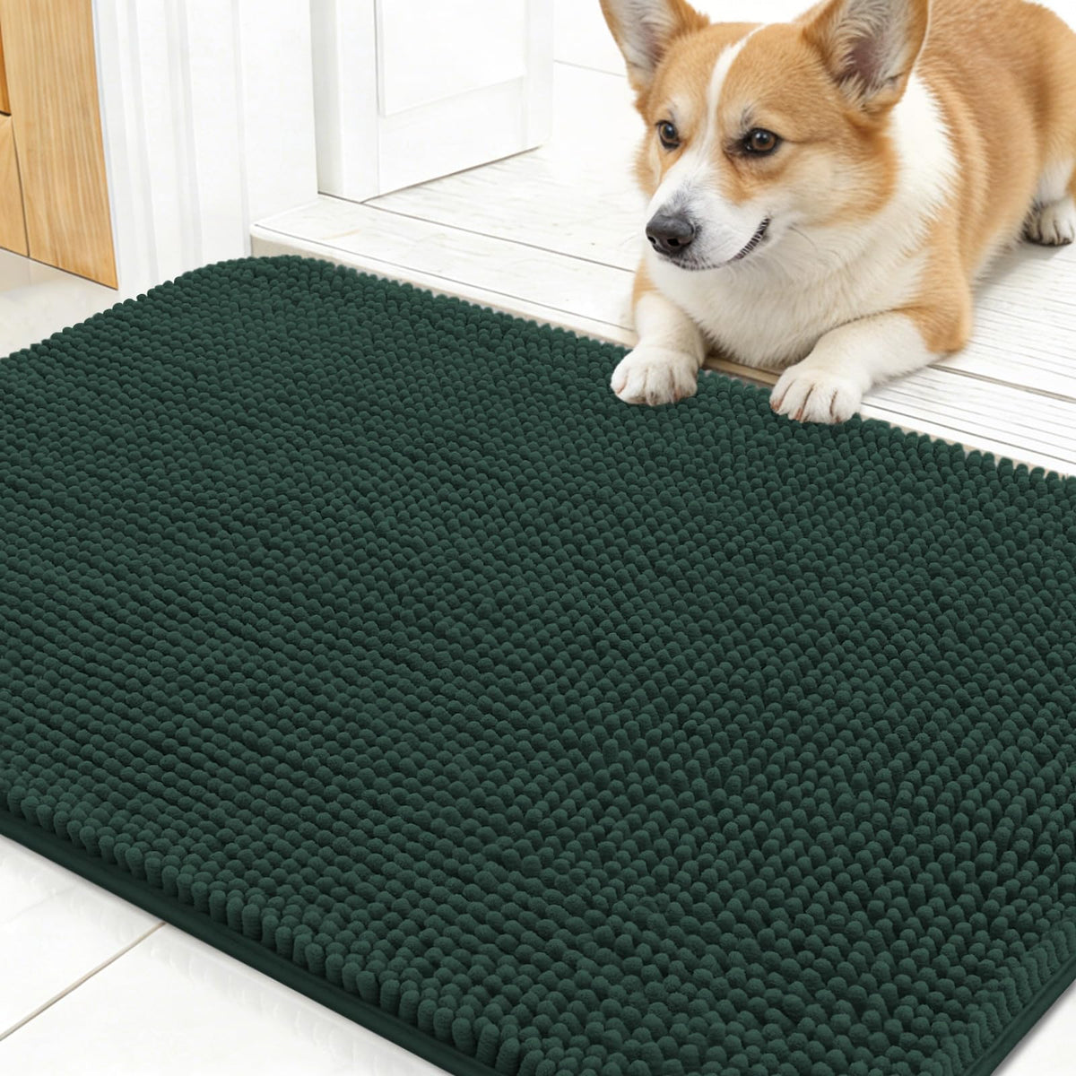 OLANLY Dog Door Mat for Muddy Paws 24x16, Super Absorbent Chenille Mud Mat