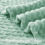 Exclusivo Mezcla Fleece Queen Blanket for Bed, Extra Large Fuzzy Sage Green Bed Blankets, Soft Cozy Plush Sofa Throws for All Seasons, 90x90 Inches