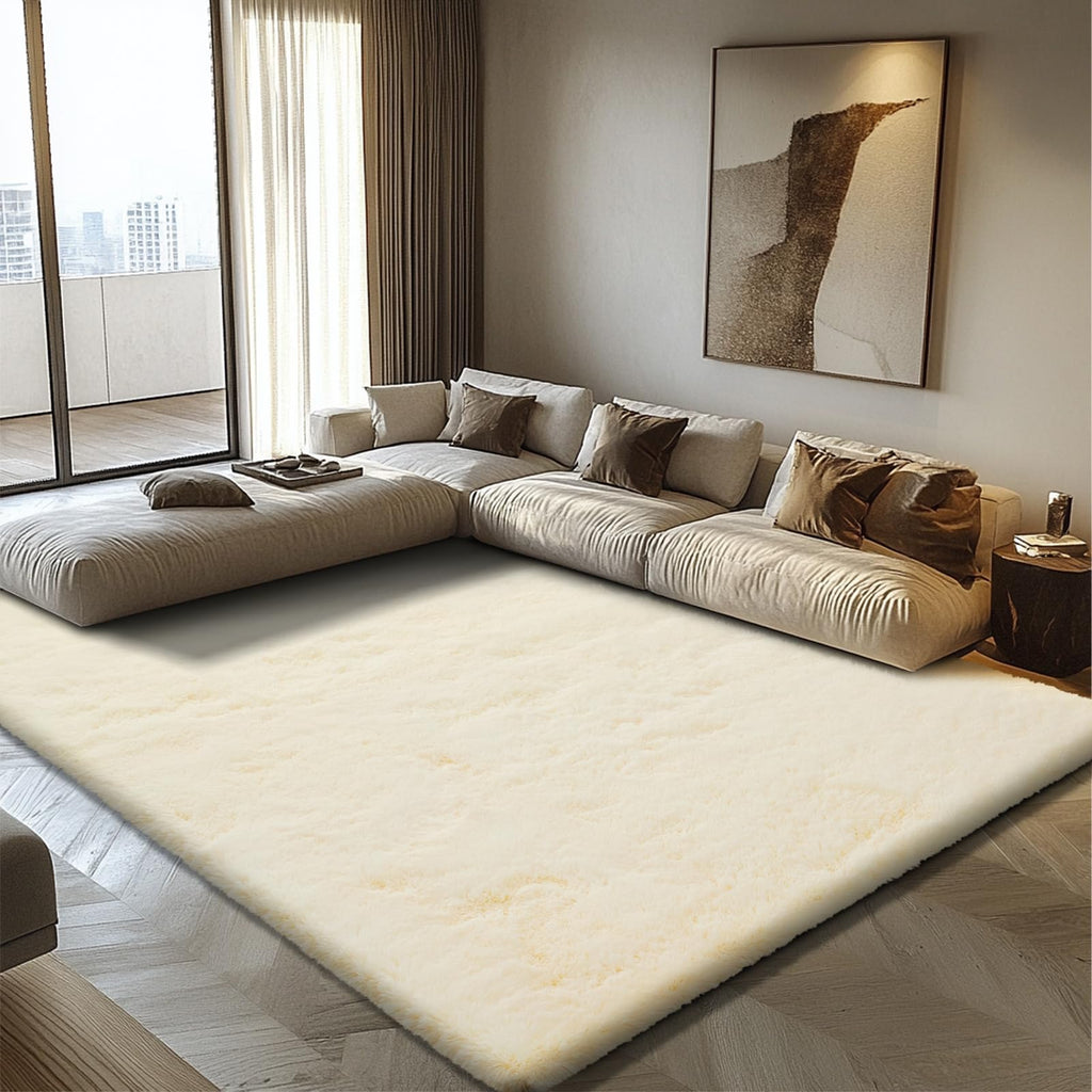 3x5 Area Rug for Bedroom, Ivory Fluffy Shag Rug Small Rug Plush Carpet